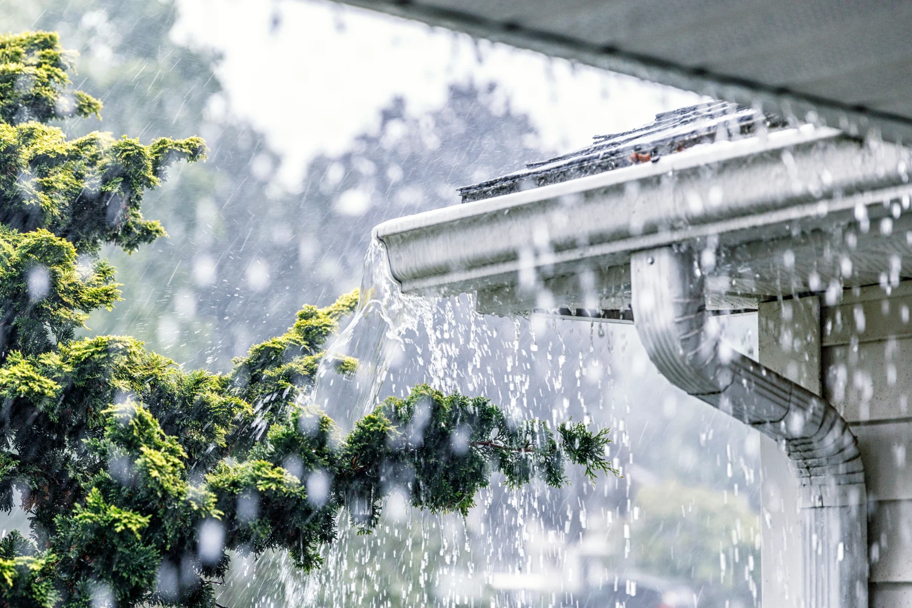 Torrential Summer Rain Storm Water Overflowing Roof Gutters - Sigma Plumbing