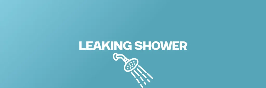 Leaking Shower